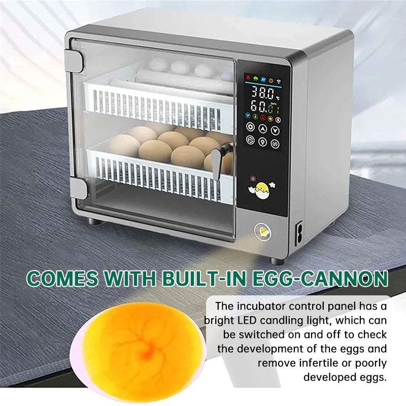 24-Egg Digital Incubator, Automatic Turner