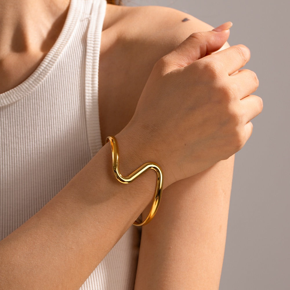 Titanium Steel S-Curve Bracelet