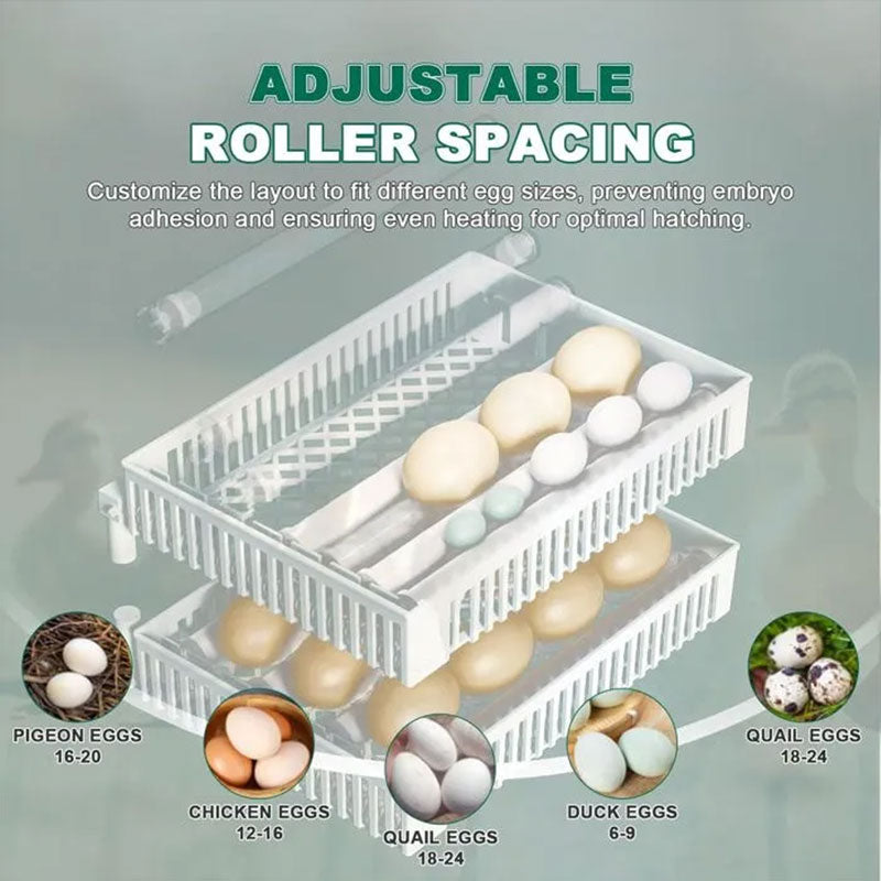 24-Egg Digital Incubator, Automatic Turner