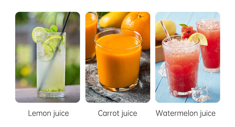 Manual Rotary Juicer