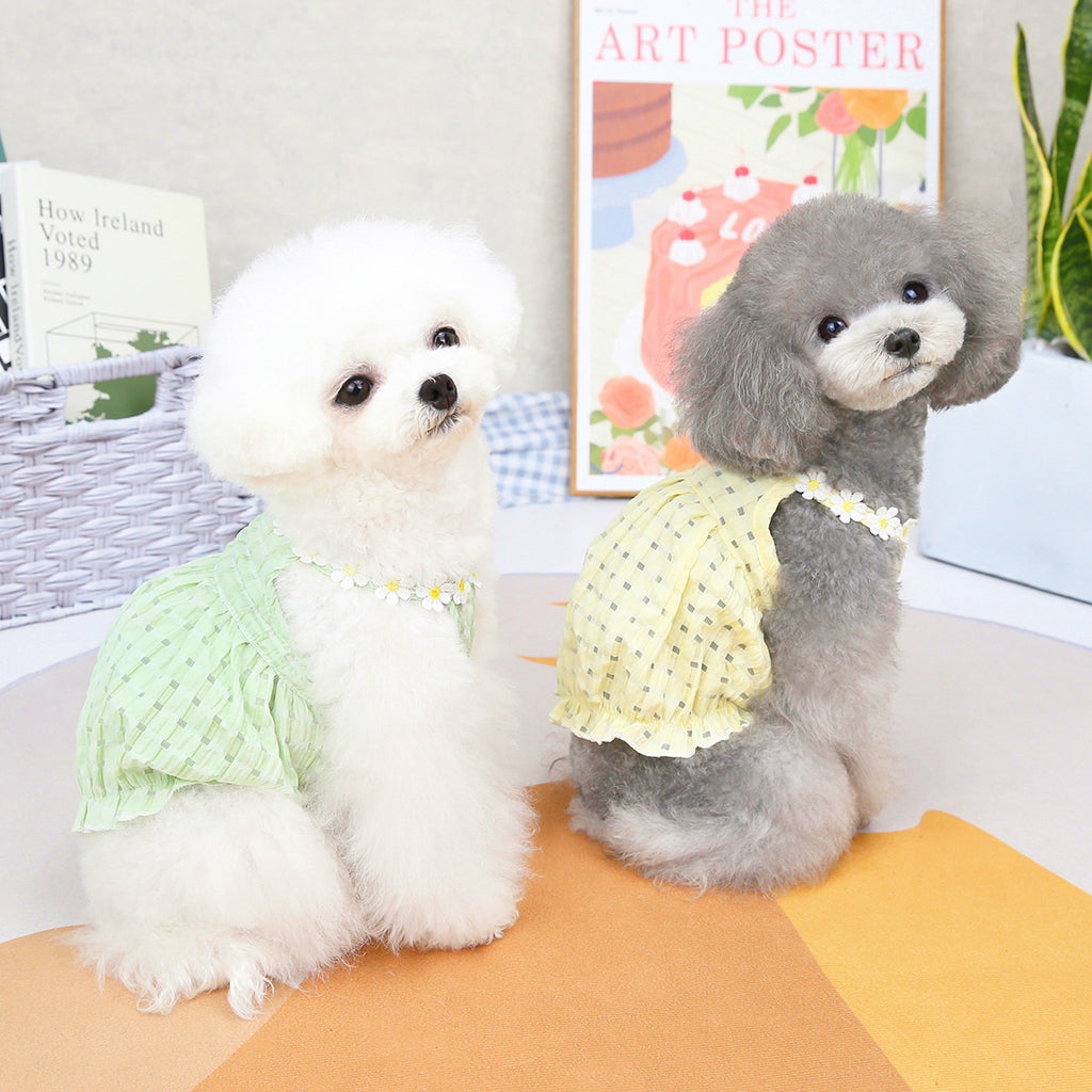 Small Dog Spring & Summer Outfit - alternate view