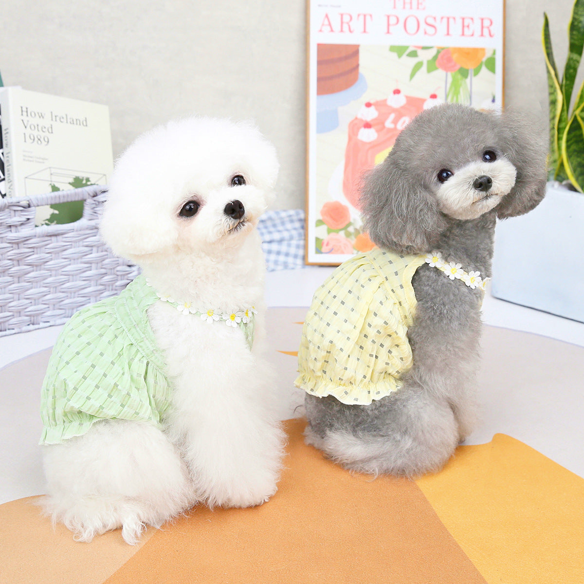 Small Dog Spring & Summer Outfit - alternate view