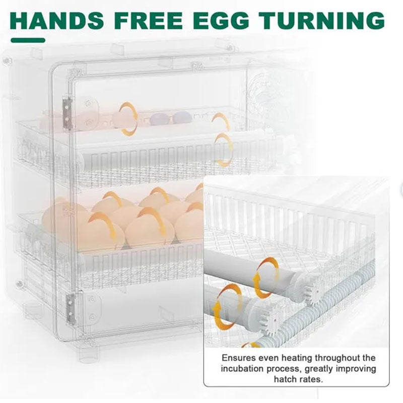 24-Egg Digital Incubator, Automatic Turner - detail view