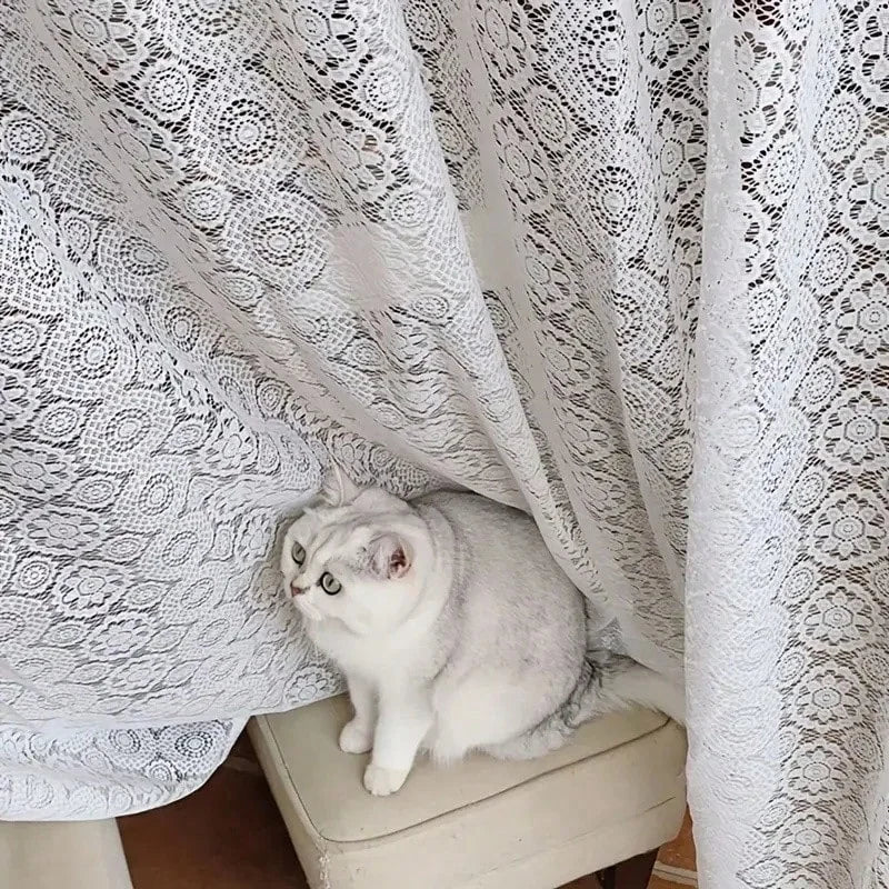 French Lace Embroidered Sheer Curtains (2-Pack)