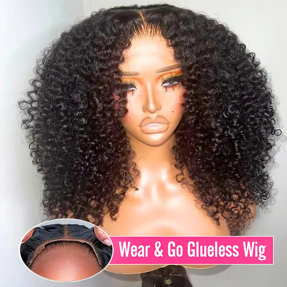 HD Lace Wig, Kinky Curly Afro Human Hair