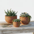 Terracotta Succulent Pot Set 3-Pack